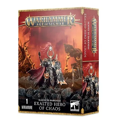 Exalted Hero Of Chaos Slaves To Darkness Warhammer Age Of Sigmar AOS • $29.75