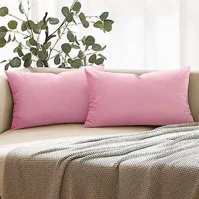 Pack Of 2 Velvet Throw Pillows Spring 12x20 Inch (Pack Of 2) Baby Pink • $26.31