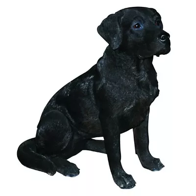 Vivid Arts Real Life Black Labrador (Size B) Indoor Outdoor Garden Ornament • £72.99