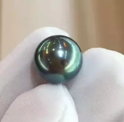 $68 • Buy Hueg 13mm Natural South Sea Genuine Black Green Peacock Loose Pearl Undrilled 32