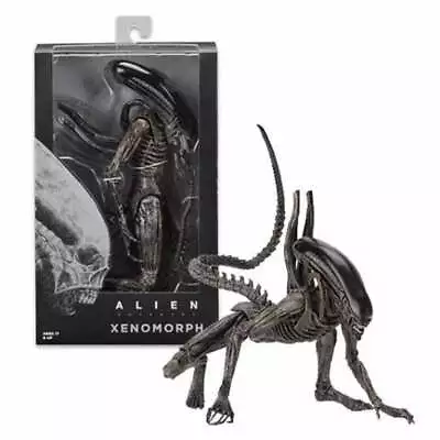 NECA Alien Covenant Xenomorph   Action Figure 1:12 Aliens Collection Model Toy • $54.79