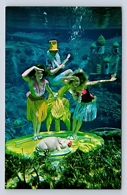 Vintage Postcard Mermaids Weeki Wachee Florida Underwater Dream Girls • $4