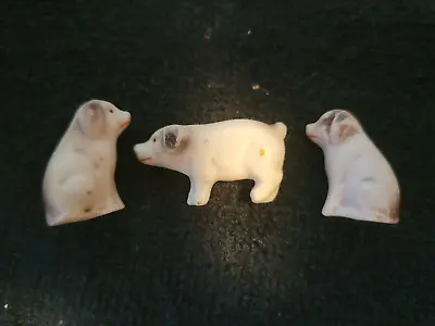 Three Antique German Bisque Miniature Pig Dollhouse Figurines • $25