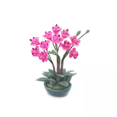 Dollhouse Miniatures 1/12 Sacle Phalaenopsis Flower Ceramic Bonsai Flowerpot • $10.49