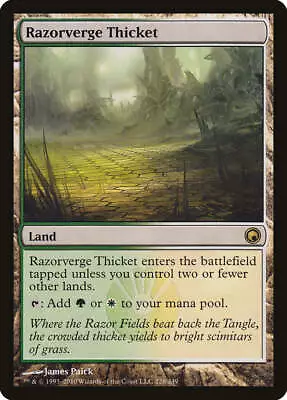 Razorverge Thicket Scars Of Mirrodin HEAVILY PLD Land Rare MAGIC CARD ABUGames • $3.99