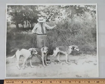 Vintage Photo Print 1940s Dog Show Contest Hounds Hunting Pointers • $12.99