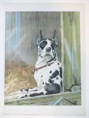Great Dane 1932 Dog Print By Diana Thorne Vintage Color Art   *Free Shipping* • $19.99
