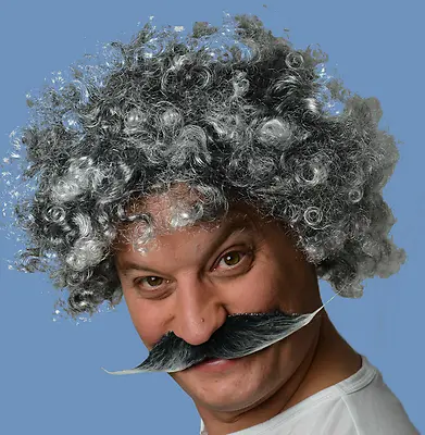 Grey Curly Afro Wig And Englishman Style Self Adhesive Moustache Fancy Dress UK • £7.75