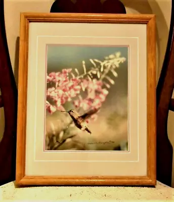 Thomas D. Mangelsen Photograph Calliope Hummingbird Ltd Edition Signed #248/550 • $147.50