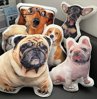 £35 • Buy Large Funny Pillow Pets Photo Teddy Personalised Dog Cat Custom Birthday Gift