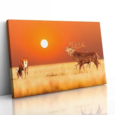 £124.95 • Buy Red Deer Stag Canvas Print Picture Framed Wall Art Poster Paper At Sunset