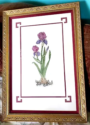 Iris Germanica Art In 20x28 Frame Signed And Numbered Martha Hinson 51/750 • $38