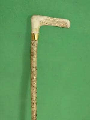 $25.32 • Buy Birch Shaft Hiker's Pole With Stag's Antler Handpiece