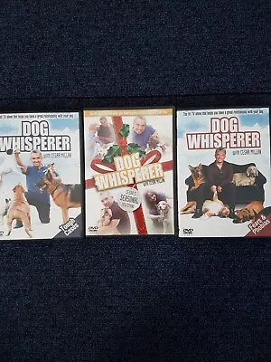 3   Dvd  Cesar Millan    The  Dog Whisperer • £10