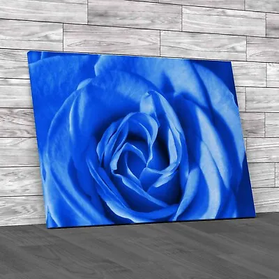 Closeup Hdr Photography Stunning Captures Blue Canvas Print Large Picture Wall • £18.95