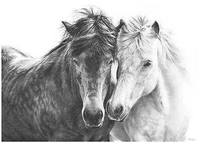 Horse Art Print Drawing Wall Art Pencil Fine Art Animal Wildlife • £16.50