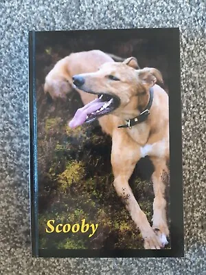 Scooby • £20