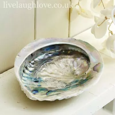 Abalone Shell Trinket & Soap Dish • £12.95