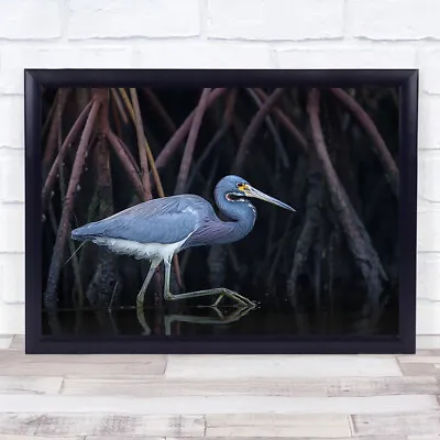 Stalking In The Mangroves Bird Nature Water Roots Wildlife Art Print • £9.99