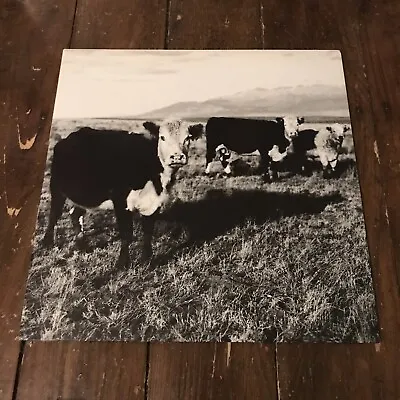 Mark Kozelek - The Finally LP Vinyl Record /500 BLACK 2008 Sun Kil Moon • £50