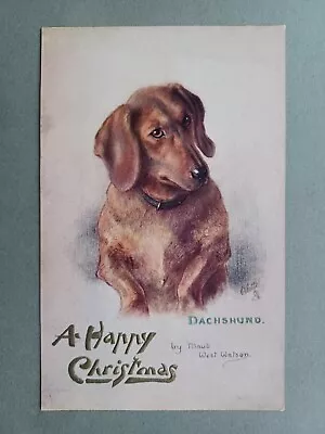 C1910s SWEET CHRISTMAS PC PORTRAIT OF DACHSHUND DOG By MAUD WEST WATSON • £5.75