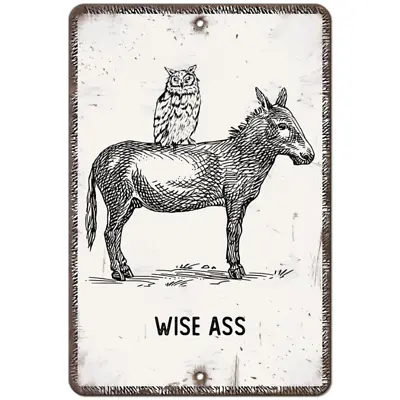 Wise A$$ Aluminum Metal Sign Retro Vintage Donkey Owl Funny Wall Decor • $21.59