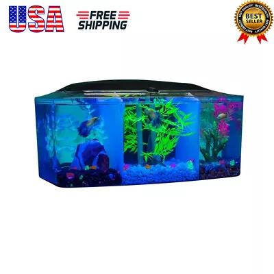 3 Gallon Betta Trilogy Fish Tank Aquarium With LED Lights And Filter Water Tank • $80.83