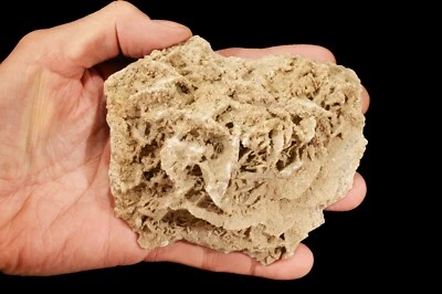 $16.99 • Buy DESERT SELENITE Sand Rose 5  12 Oz Raw Rock Mineral Specimen Healing Crystal