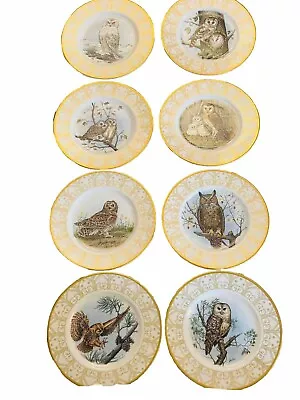 Complete Set Of 8 Edward Marshall Boehm Bone China Owl Plates Collection MINT • $180