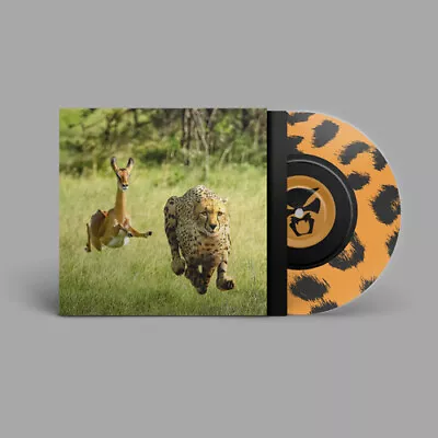 Thundercat & Tame Impala : No More Lies VINYL Limited  7  Single (2023) • £22.84