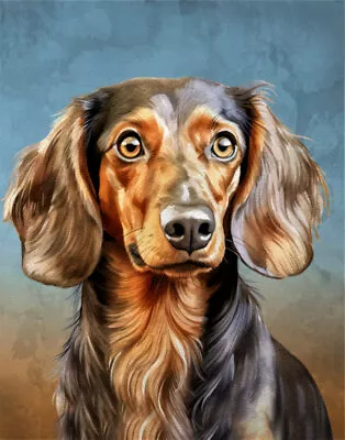 Dachshund  Print Dog Poster Collie Illustration 8x10 11X14 Watercolor Style • $13.99