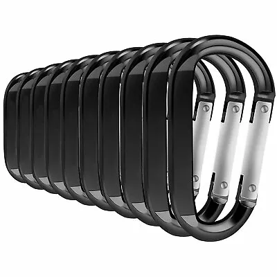 Carabiners Clip Set 10  Pack Of  Locking D Ring Shape Clips NEW • $5.55
