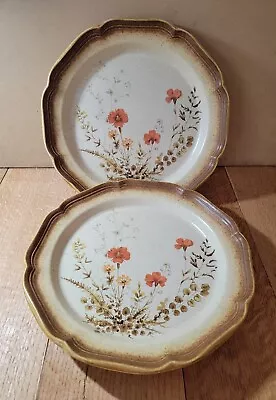 Mikasa WHOLE WHEAT JARDINIERE Dinner Plate 10 1/2 In - Set Of 2 • $17