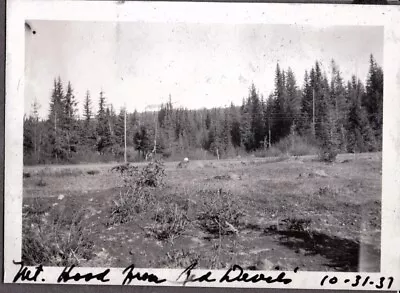 Vintage Photograph Mt. Hood Scenic View From Red Devil's Portland Oregon Photo • $6