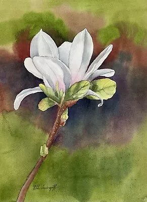 Mongolia White Flower Watercolor Original Painting • $50