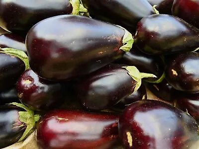 Organic Vegetable - Aubergine - Black Beauty - 30 Seeds - Economy • £2.10