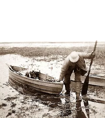 Antique Pre 1900 Hunting Repro 8x10 Photograph Duck Boat Shotgun Dead Birds # 2 • $11.99