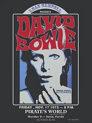 David Bowie 1972 Vintage Concert Poster Music Rock N Roll 18 X24   Free Shipping • $9.97