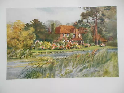 £7.99 • Buy Original Edwardian 1909 HAMPSHIRE Print Of Gavel Acre On The Test - Wilfrid Ball