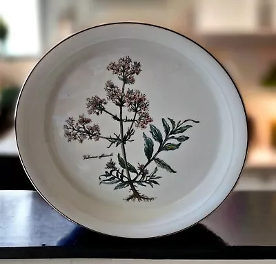 Villeroy & Boch Botanica 10.5 Inch Pie Dish Casserole Valeriana Officinalis • $30