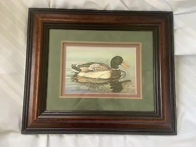 SINED NUMBERED Reflections Mallard Duck By Keith Martin Jones Art Print • $135