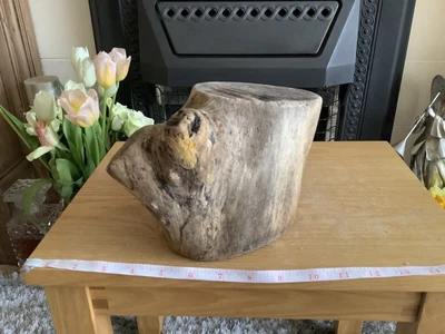 £5.99 • Buy Driftwood , Aquarium, Vivarium, Art, Craft,shop Window/Floral Display,