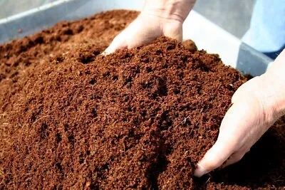 Coconut Coir Coco Peat Compost Cocopeat Fibre Organic Soil Hydroponics Substrate • £7.99