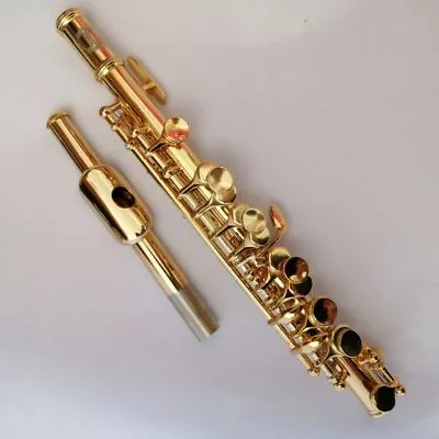 High Quality Piccolo Instrument Gold-plated C-key Professional Piccolo - • $236