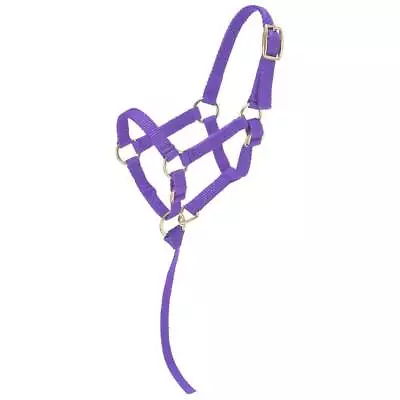 Tough-1 Miniature Nylon Halter • $13.98