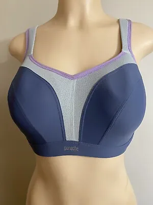 Panache 5021 Ultimate Sports Bra Grey/Purple 30G • £9.72