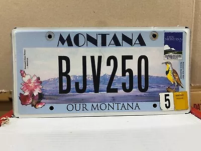 Our Montana Inc License Plate • $4