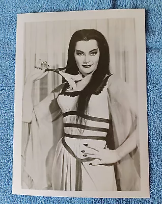 YVONNE DECARLO As Lily Munster  The Munsters   5X7 B/W Photo Pose With A Lily • $4.99