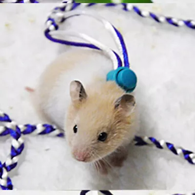 £4.69 • Buy Pet Hamster Cage Leash Adjustable Pet Rat Mouse Harness Rope Leash 