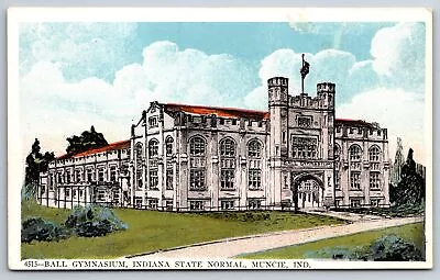 Muncie Indiana~State Normal School~Ball Gymnasium~c1905 Postcard • $13